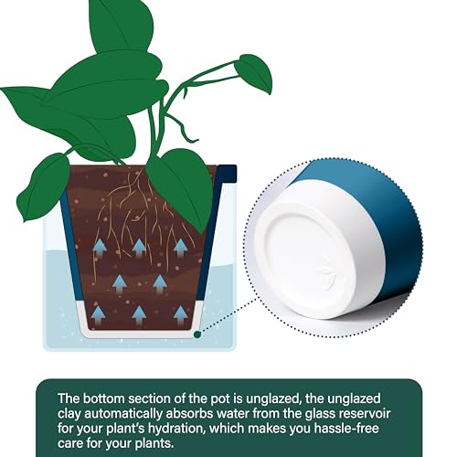 D'vine Dev Self-Watering Blue Terracotta Planter Pot, 8 in, 37-X-C-4 - color: Blue, size: 8 Inch
