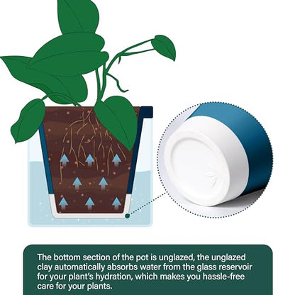 D'vine Dev Self-Watering Blue Terracotta Planter Pot, 8 in, 37-X-C-4 - color: Blue, size: 8 Inch
