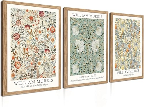 Induslyfe Framed Flower Wall Art Canvas Decor Set of 3, William Morris, Matisse Framed Prints Poster Mid Century Modern Art, Gogh Floral Botanical Wall Art for Living Room Bathroom Bedroom 12x16 - color: Framed Flower, size: 12"x16"