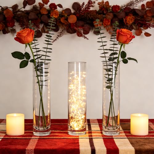 7.48 inch Tall Vases for Flowers,12PCS Glass Cylinder Vase,Bud Vase