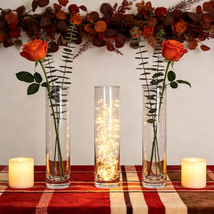 7.48 inch Tall Vases for Flowers,12PCS Glass Cylinder Vase,Bud Vase