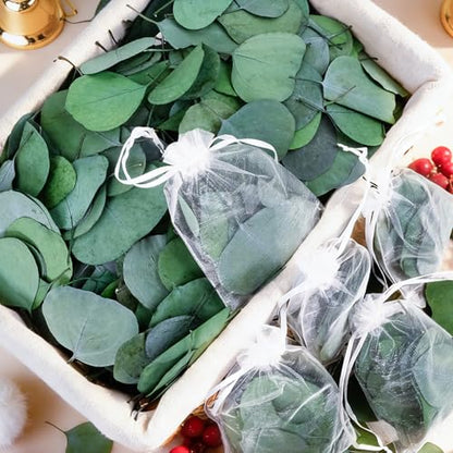 500+ Pcs Dried Silver Dollar Eucalyptus Leaves for Wedding Decor