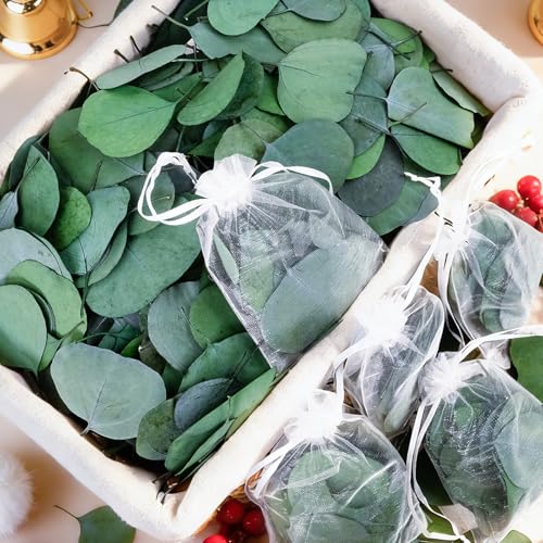 500+ Pcs Dried Silver Dollar Eucalyptus Leaves for Wedding Decor