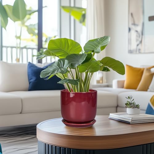 Ceramic Planter for Plants, Round Modern 7 Inch Plant Pot, Red - color: Red, size: 7 Inch