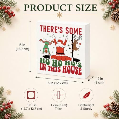 There's Some Ho Ho Ho's in This House Sign, Funny Christmas Wood Box Decor - color: Style 1