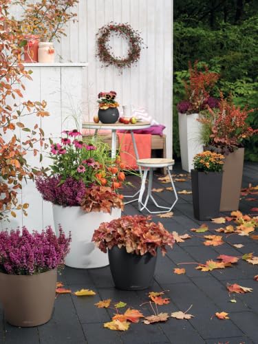 Lechuza Classico Color 28 Nutmeg, Self-Watering Round Planter, D11 H10.2 in - color: Nutmeg Matte, style: 28