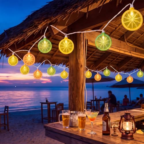 8.5Ft Lemon String Lights,10 LED Summer Outdoor Fairy Lights Plug in - color: Lemon String Lights