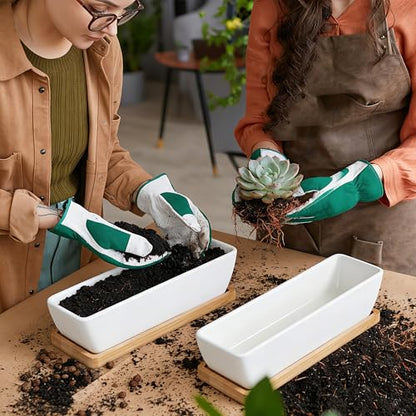 White Ceramic Succulent Planters, Indoor and Outdoor Succulent Planters, Set of 2 Cactus Containers, Bonsai Pots, Flower Pots with Drainage Hole and Bamboo Bowl (No Plant) - color: Thin Rectangle