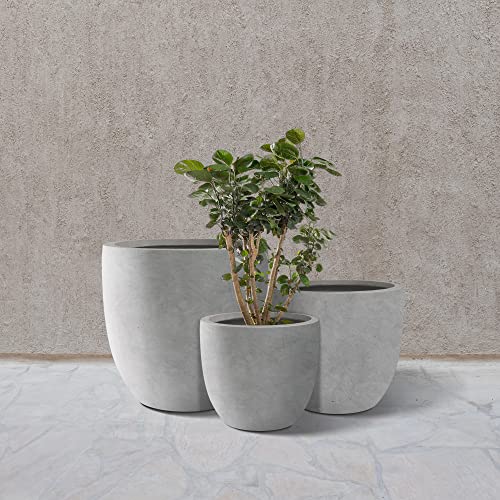 Kante Set of 3 Pale Gray Concrete Curved Planters 20" 16.5" 13.3" Dia - color: Natural Concrete, size: 20.1"d + 16.5"d + 13.4"d