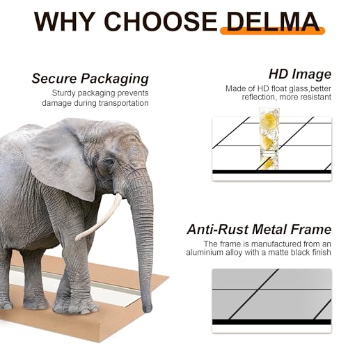 Delma Window Pane Full Length Mirror, 30"x70" Large Window Mirror, Black - size: 70"L x 30"W