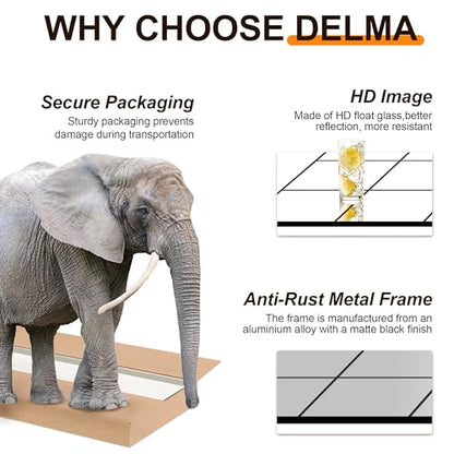 Delma Window Pane Full Length Mirror, 30"x70" Large Window Mirror, Black - size: 70"L x 30"W