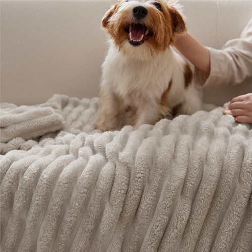 Bedsure Soft Queen Size Blanket for Bed Beige 90"x90" - color: Beige, size: Queen