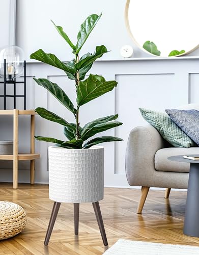 D'vine Dev Planter Pot with Wood Stand, 12 in, Matte White, 88-Z-C-1 - color: Matte White, size: Large