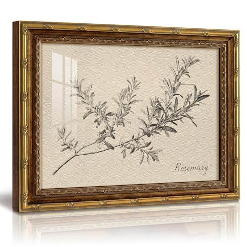 InSimSea Gold Framed Vintage Rosemary Botanical Wall Art, 13x16 Inch | Acrylic Glass Canvas Gold PS Framed Canvas French Country Rustic Farmhouse Nature Decor Kitchen Bedroom Living Room Gallery - color: Sketch Rosemary, size: 16"L x 13"W