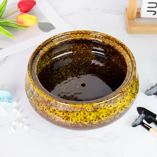Bonsai Pots - 8 Inch Succulent Pots with Drainage, Shallow Planters - color: Yellow