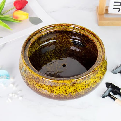 Bonsai Pots - 8 Inch Succulent Pots with Drainage, Shallow Planters - color: Yellow