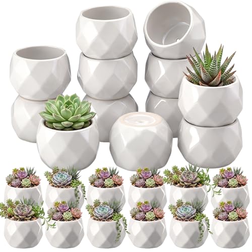 24 Pack 2.5 Inch Small Succulent Pots, White, Fashion - style: Fashion
