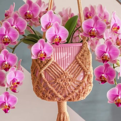 2 Pack Macrame Hanging Planters, Caramel - color: Caramel