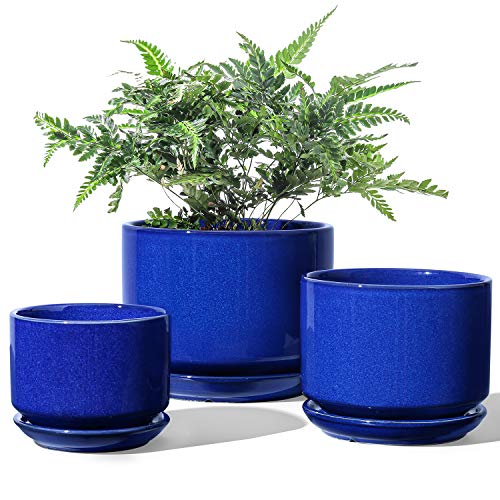 LE TAUCI Ceramic Pots for Plants, 4.3+5.3+6.8 Inch, Set of 3, Sapphire Blue - color: Sapphire Blue, size: 4.3"+5.3"+6.8"