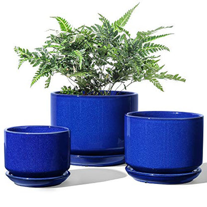 LE TAUCI Ceramic Pots for Plants, 4.3+5.3+6.8 Inch, Set of 3, Sapphire Blue - color: Sapphire Blue, size: 4.3"+5.3"+6.8"