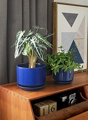 LE TAUCI Ceramic Pots for Plants, 4.3+5.3+6.8 Inch, Set of 3, Sapphire Blue - color: Sapphire Blue, size: 4.3"+5.3"+6.8"