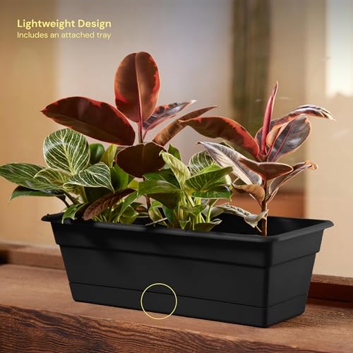 Bloem Dura Cotta 18" Plastic Window Box Planter with Saucer, Black, 3-Pack - color: Black, size: 18" (Pack of 3)