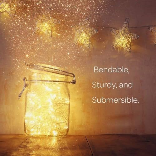 ANJAYLIA Battery Operated Fairy String Lights, 10Ft 30 LEDs, Warm White - color: Warm White 1 Pack 30 LED