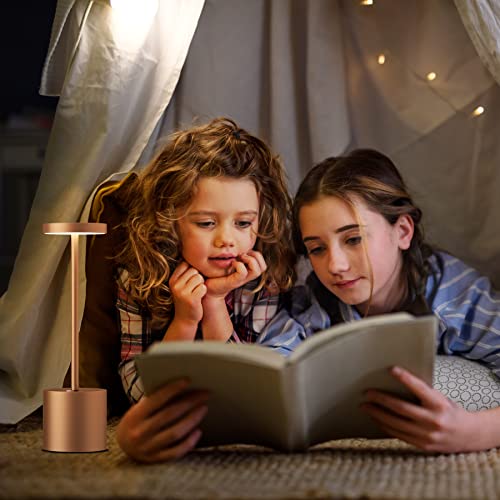 TBBGA LED Cordless Table Lamps Set of 2, 5000mAh Rechargeable Table Light - color: Brown2
