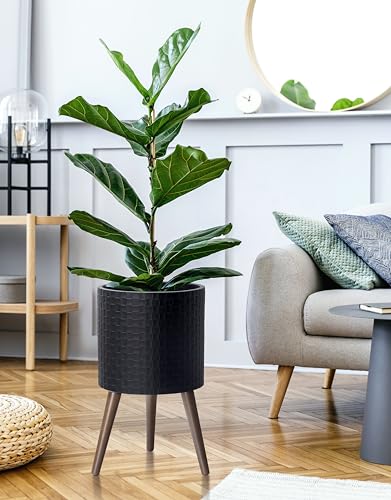 D'vine Dev Planter Pot with Wood Stand, 12 in, Matte Black, 88-Z-C-2 - color: Matte Black, size: Large