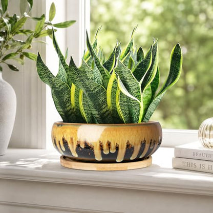 Succulent Pots, 7.3 Inch Ceramic Bonsai Pots with Drainage Tray, Plant Pots - color: Flow Glaze
