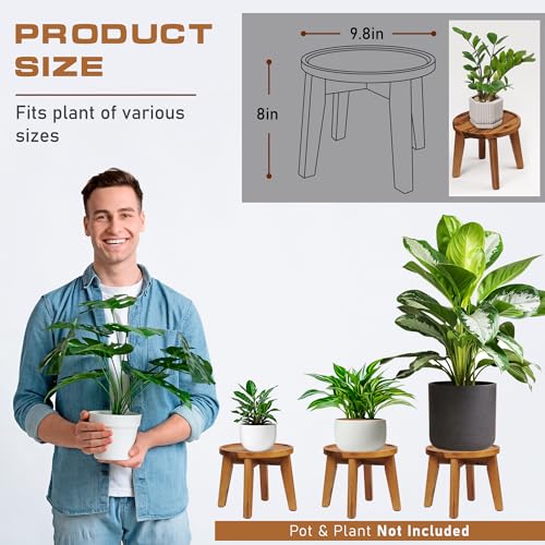 Demigo Indoor Plant Stand, 8 in Tall Natural Acacia Wood Plant Shelf Decor - color: Natural Acacia, size: Medium