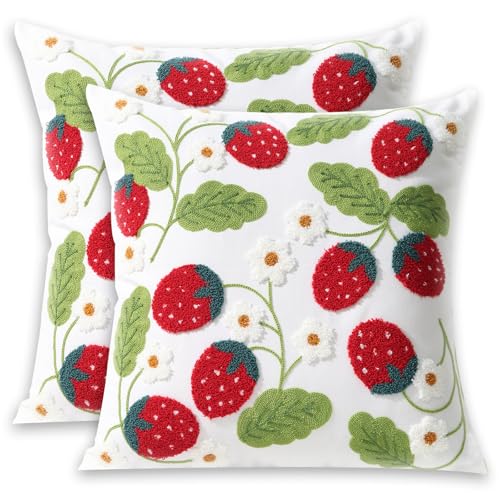 Pack of 2 Embroidered Throw Pillows Cover 18x18 Inch Decorative Pillowcase for Living Room Sofa Bed (Red Strawberry) - color: Red Strawberry