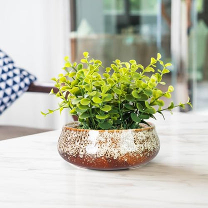 Succulent Pots, 8 Inch Large Bonsai Pots with Drainage, Ceramic Planters - color: White