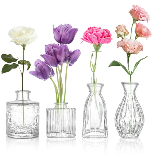4pcs Clear Glass Bud Vase, Small Glass Vases in Bulk for Flower