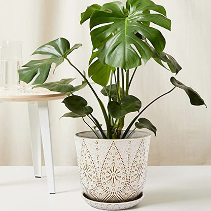 Gepege 8 Inch White Ceramic Plant Pot with Drainage & Saucer - color: Cream White, size: 8 Inch