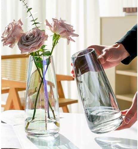 FANTESTICRYAN Modern Glass Vase, 8.7''H Decor Flower Vases, Crystal Grey - color: Crystal Grey
