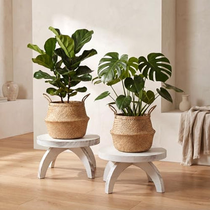 Novabright 2 Pcs Short Plant Stand Small Wood Plant Stool, White - color: White