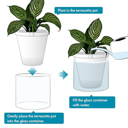 D'vine Dev Self-Watering White Terracotta Planter Pot, 10 in, 37-X-D-2 - color: White, size: 10 Inch