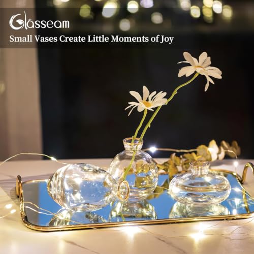 Glasseam Glass Bud Vase for Centerpieces: 12Pcs Clear Mini Small Vases Bulk - color: Gold Rim, size: 4 Sets