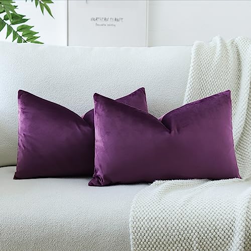 OTOSTAR Pack of 2 Velvet Soft Solid Decorative Throw Pillow Covers 16 x 24 Inch Pillow Covers Lumbar Cushion Case Couch Pillowcases for Sofa Bed Home Decor (Eggplant Purple) - color: Eggplant Purple, size: 24" x 16" (Pack of 2)