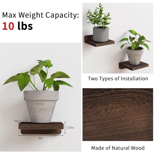 Fixwal Small Floating Shelves for Wall (Dark Carbonized, Set of 4, 5 Inch) - color: Dark Carbonized Black, size: 5 inches