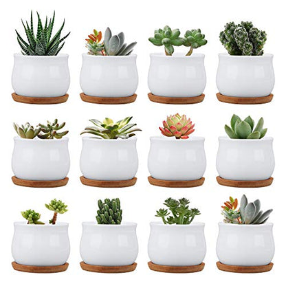Small Succluent Pot,12Pcs Flower Pots with Drinage,Mini Flower Pots