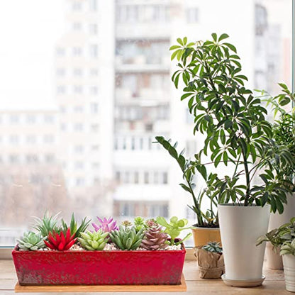 Succulent Pots - 12.1 Inch Large Succulent Planters with Drainage Tray - color: Red