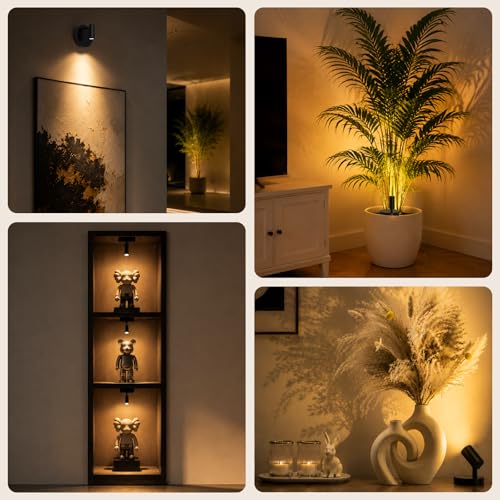 Spotlights Indoor with Remote, 5500Mah Rechargeable Picture Lights on Wall - color: Black-5500mAh