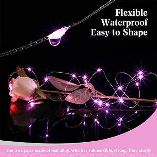Hortsun 100 Pack Battery Operated Fairy Lights 7 ft 20 LED, Pink - color: Pink Light