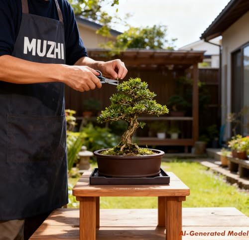MUZHI Unglazed Natural Clay Bonsai Pot with Drip Tray, Oval Vintage Bonsai Tree Planter with Drainage for Bonsai Training Succulent Arrangement (Oval) - style: Simple Oval