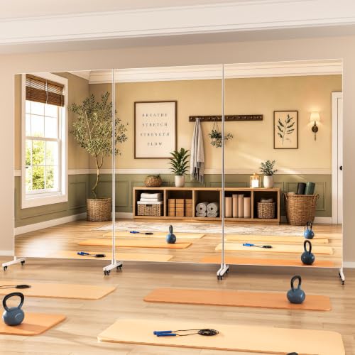 Hasipu 67" x 40" Home Gym Mirror 360° Swivel on Wheels - size: 66.9"L x 39.4"W