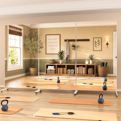 Hasipu 67" x 40" Home Gym Mirror 360° Swivel on Wheels - size: 66.9"L x 39.4"W