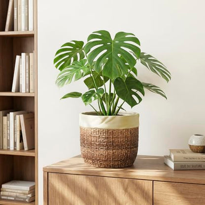 Ceramic Pots for Plants, 8 Inch Plant Pot, Round Planters, Brown - color: Brown, size: 8 Inch