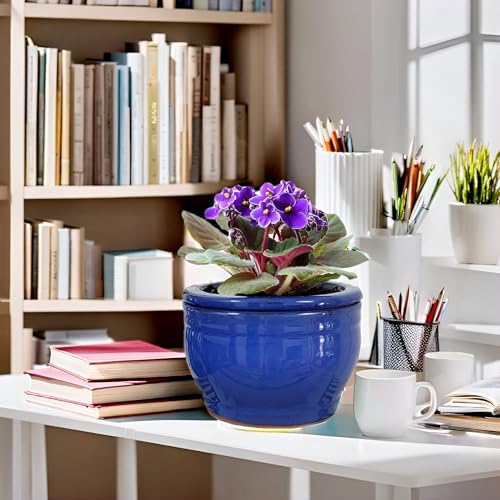 African Violet Pots Self Watering Blue 6 inch - color: Blue